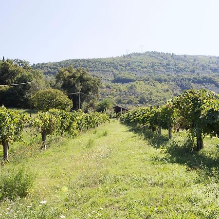 Agriturismo I Melograni Ferentillo Eksteriør billede