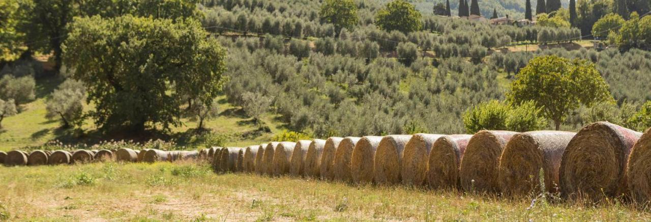 Agriturismo I Melograni Ferentillo Eksteriør billede