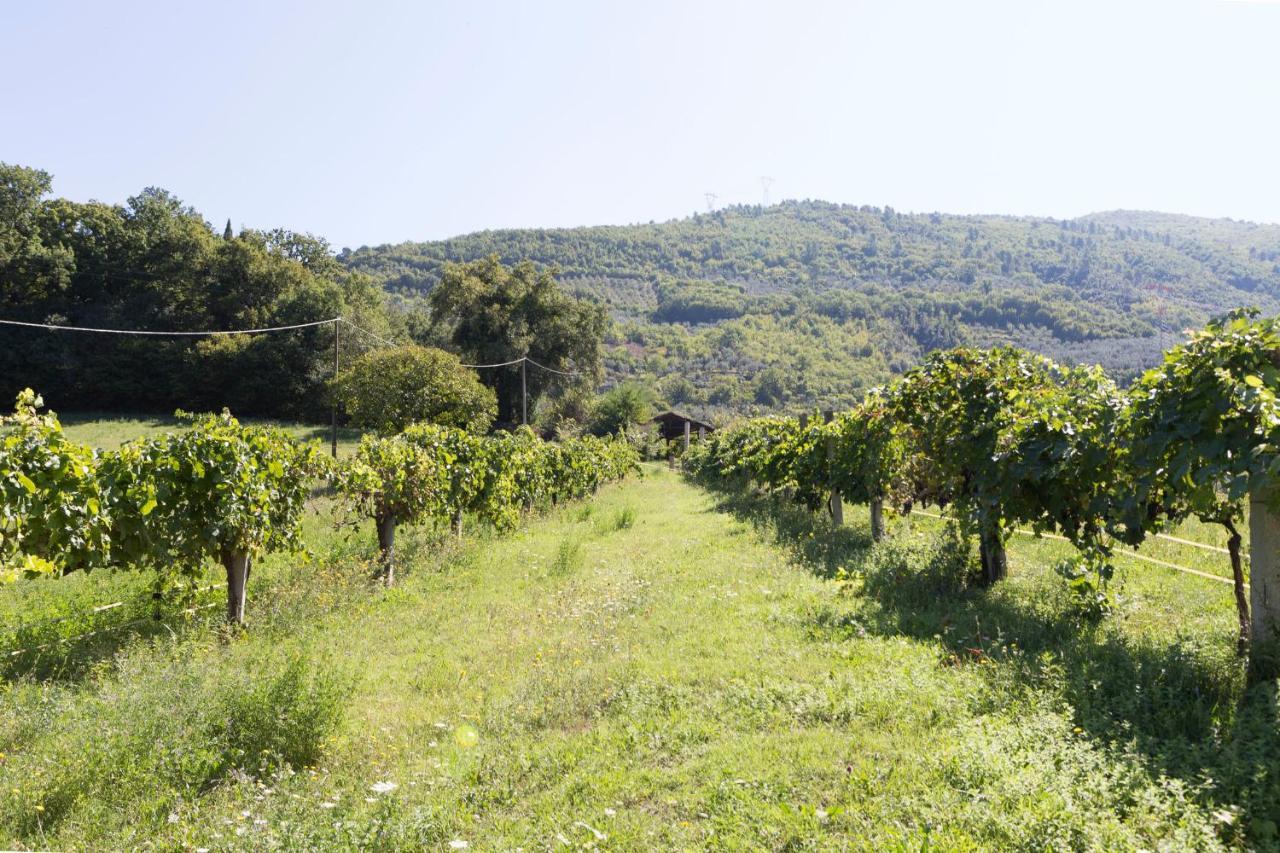 Agriturismo I Melograni Ferentillo Eksteriør billede
