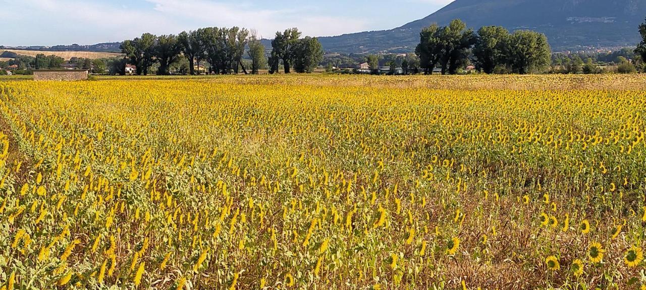 Agriturismo I Melograni Ferentillo Eksteriør billede