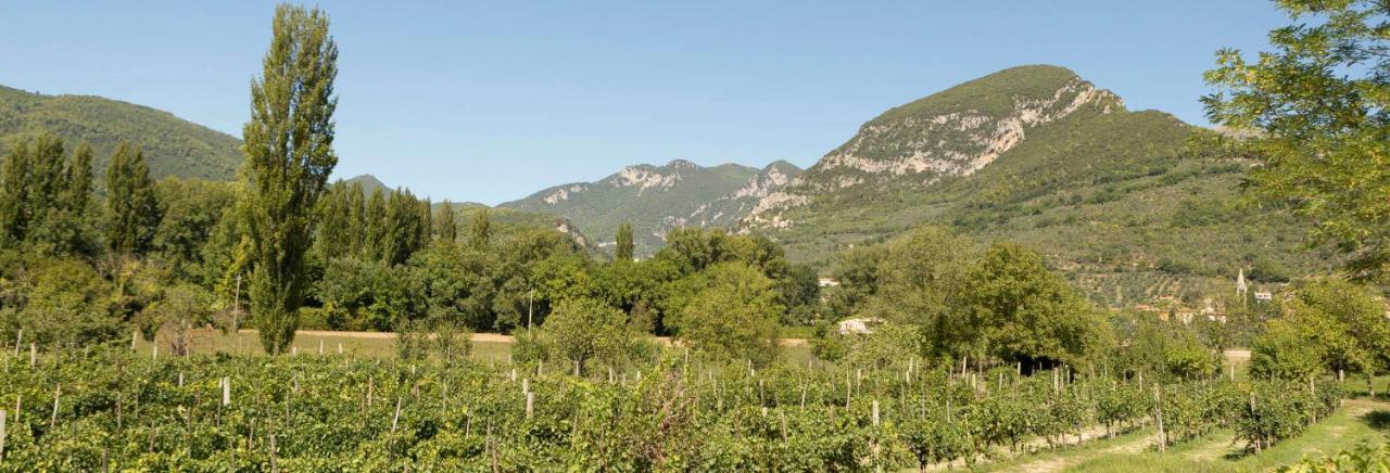 Agriturismo I Melograni Ferentillo Eksteriør billede