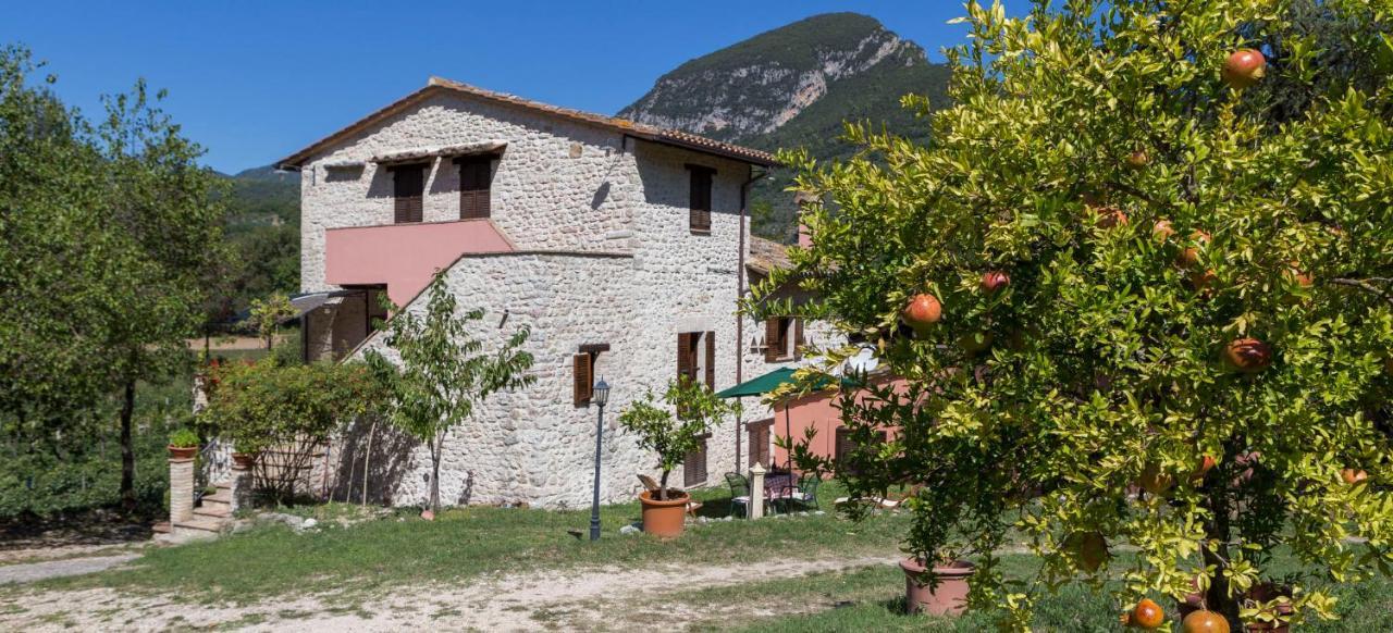 Agriturismo I Melograni Ferentillo Eksteriør billede