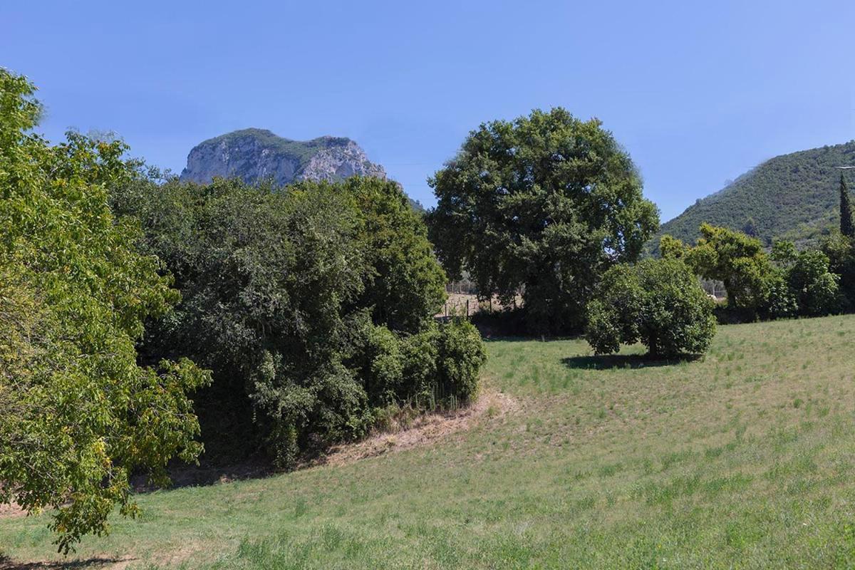 Agriturismo I Melograni Ferentillo Eksteriør billede