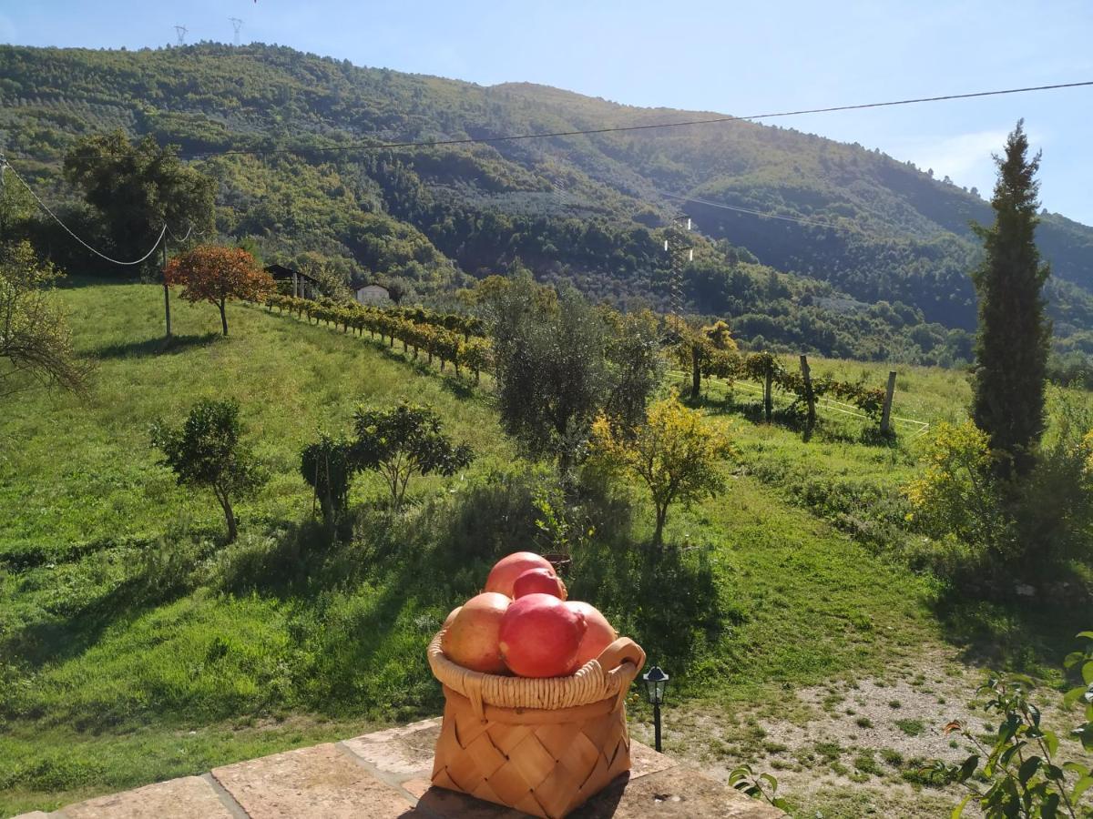 Agriturismo I Melograni Ferentillo Eksteriør billede