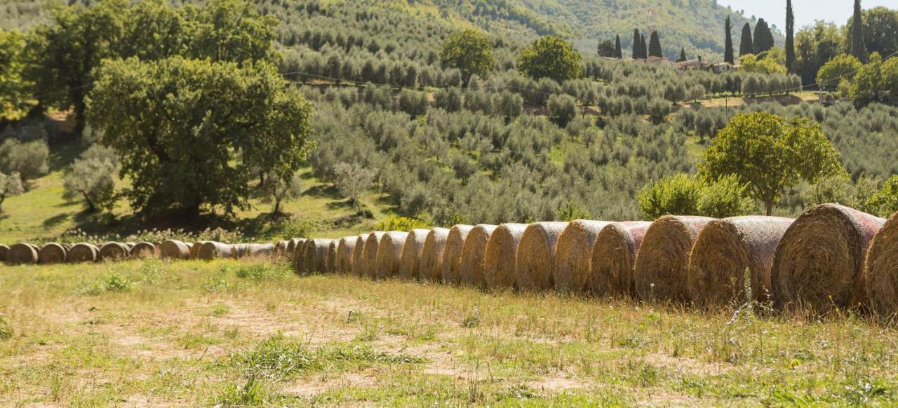 Agriturismo I Melograni Ferentillo Eksteriør billede