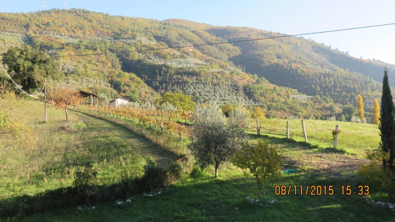 Agriturismo I Melograni Ferentillo Eksteriør billede