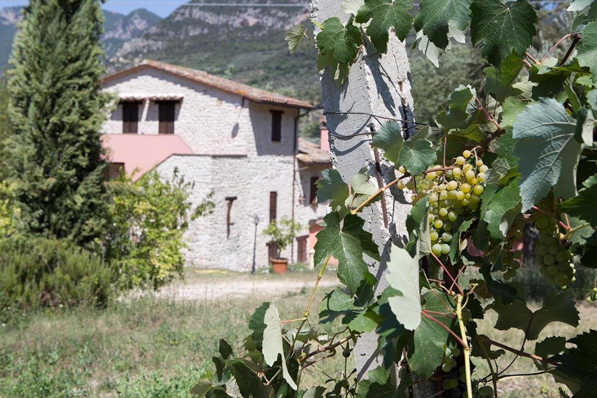 Agriturismo I Melograni Ferentillo Eksteriør billede