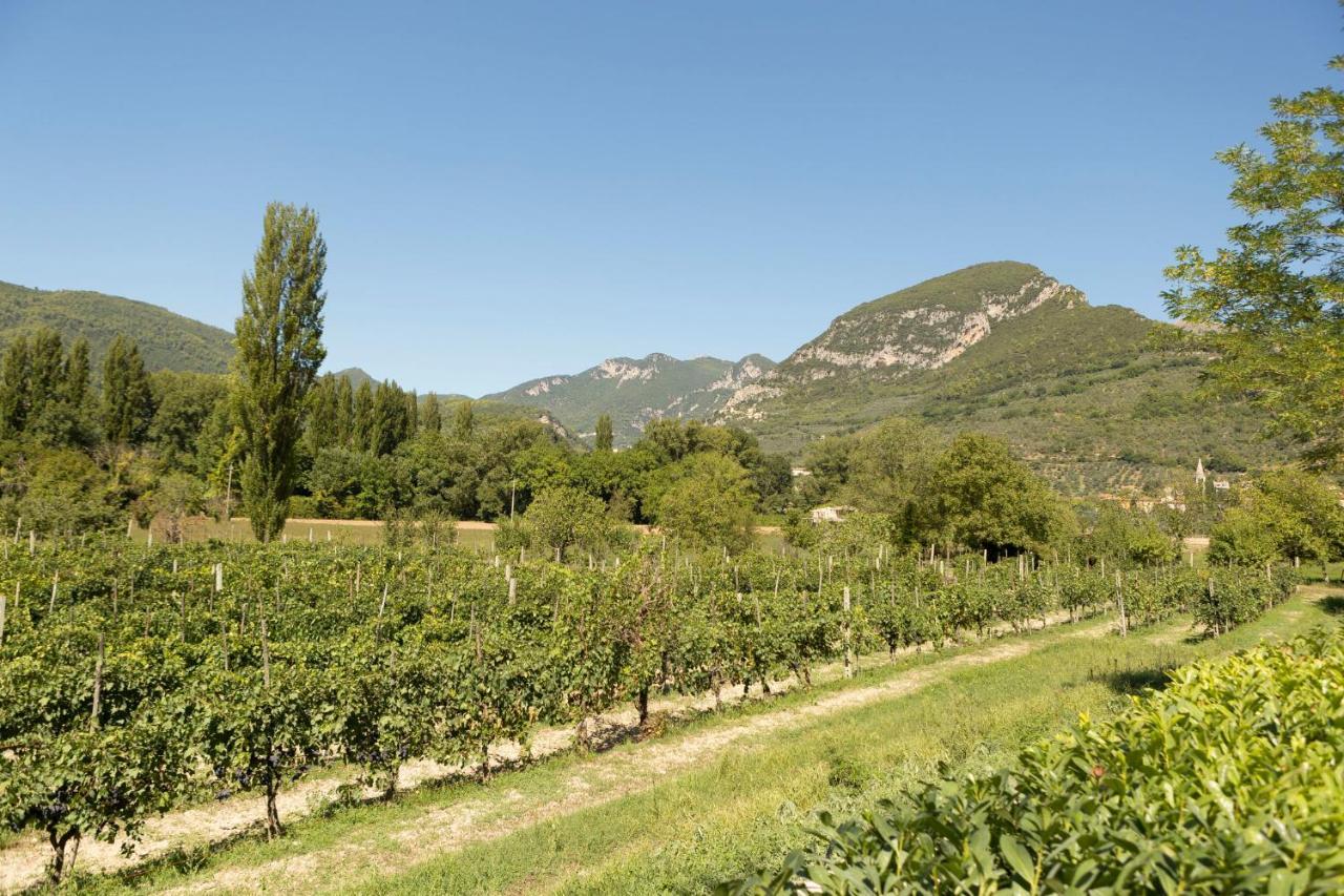 Agriturismo I Melograni Ferentillo Eksteriør billede