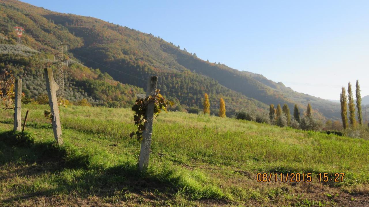 Agriturismo I Melograni Ferentillo Eksteriør billede