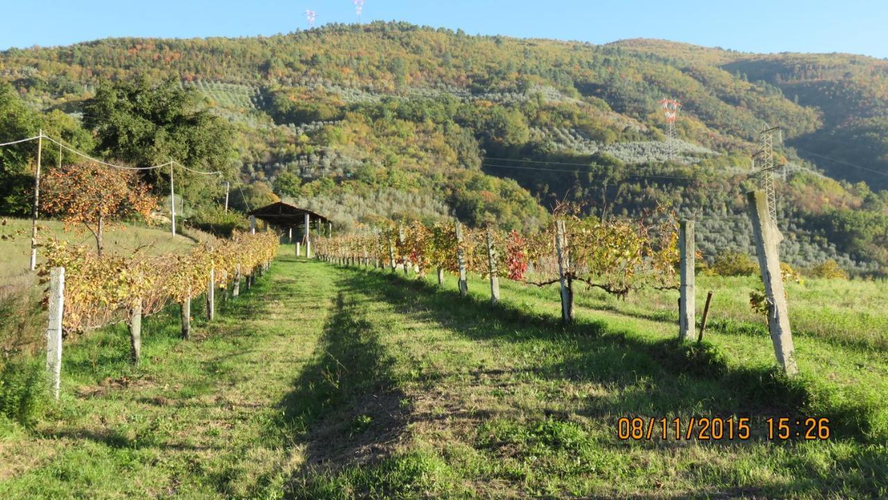 Agriturismo I Melograni Ferentillo Eksteriør billede
