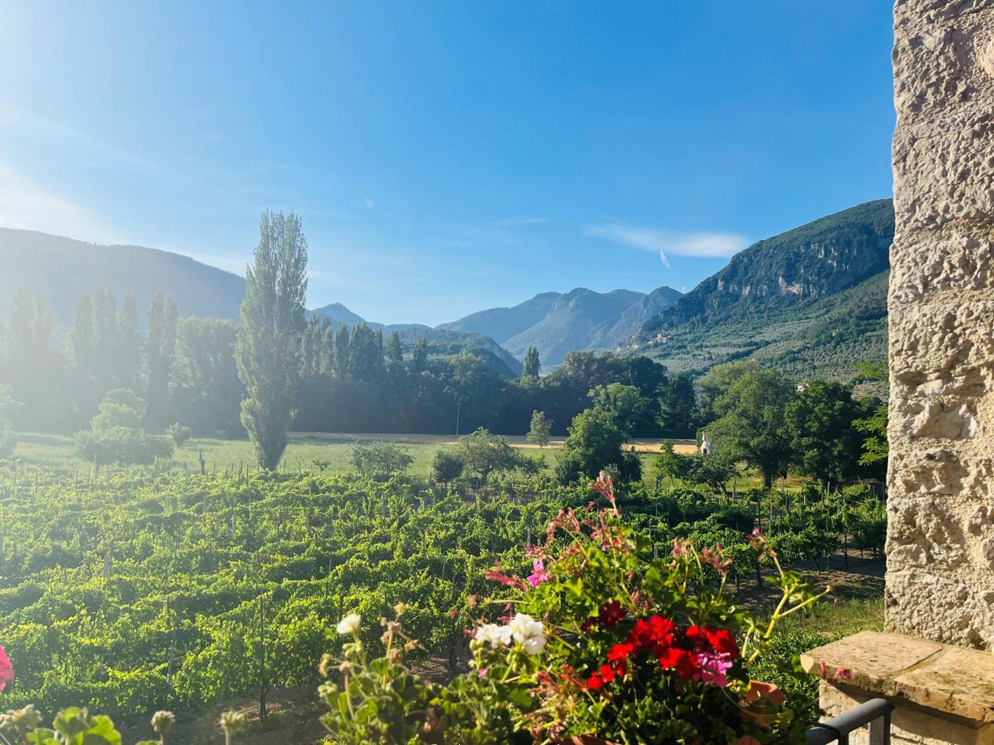 Agriturismo I Melograni Ferentillo Eksteriør billede